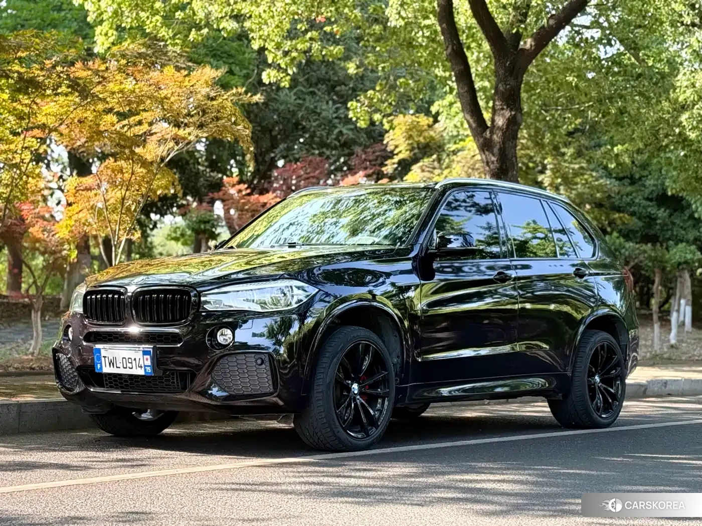 BMW X5 id 4679925 из Китая 12