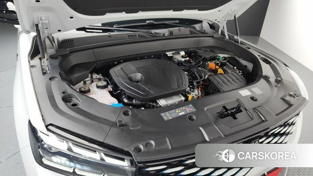 Renault Korea (Samsung) Grand Coleos id 4248366 из Кореи 16