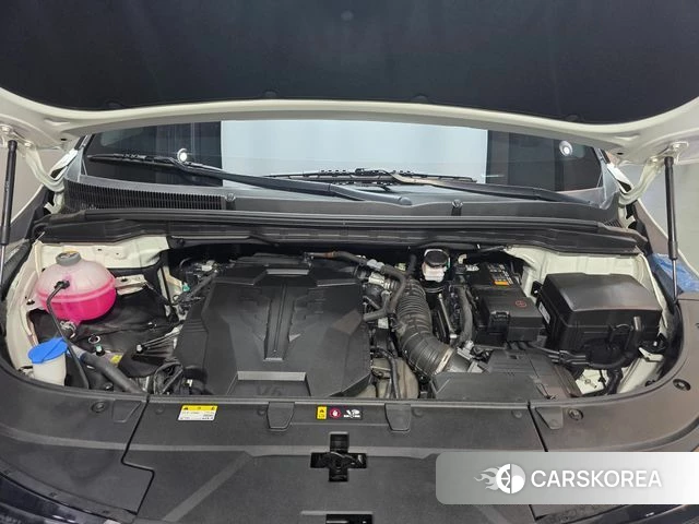 Kia The New Carnival 4th Generation id 4442531 из Кореи 16
