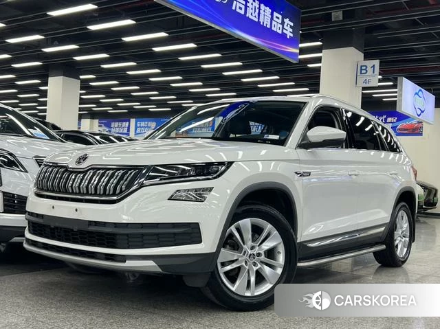 Skoda Kodiak id 4209576 из Китая 10