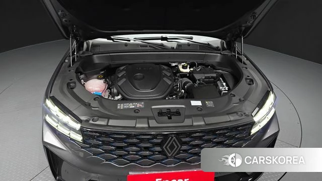 Renault Korea (Samsung) Grand Coleos id 4560096 из Кореи 31