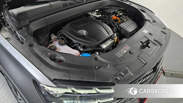 Renault Korea (Samsung) Grand Coleos id 3882915 из Кореи 16