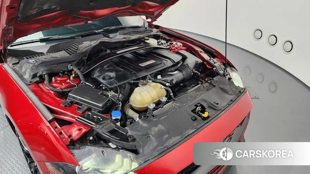 Ford Mustang 7th Generation id 3852410 из Кореи 16