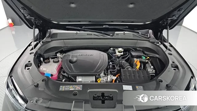 Renault Korea (Samsung) Grand Coleos id 3278058 из Кореи 16