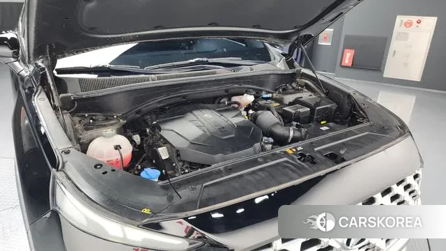 Hyundai The New Santa Fe id 3478989 из Кореи 16