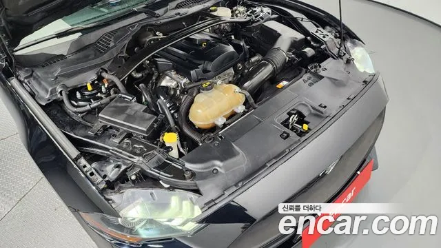 Ford Mustang id 2683771 из Кореи 16