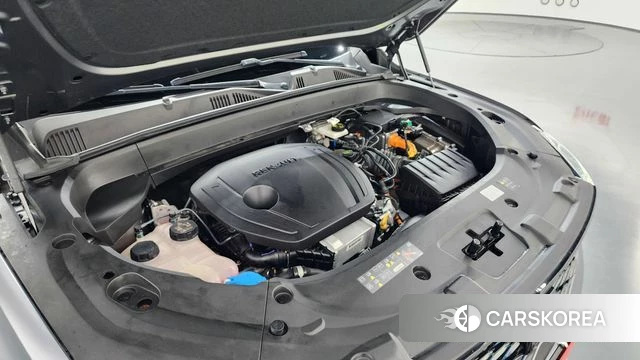 Renault Korea (Samsung) Grand Coleos id 4590485 из Кореи 36