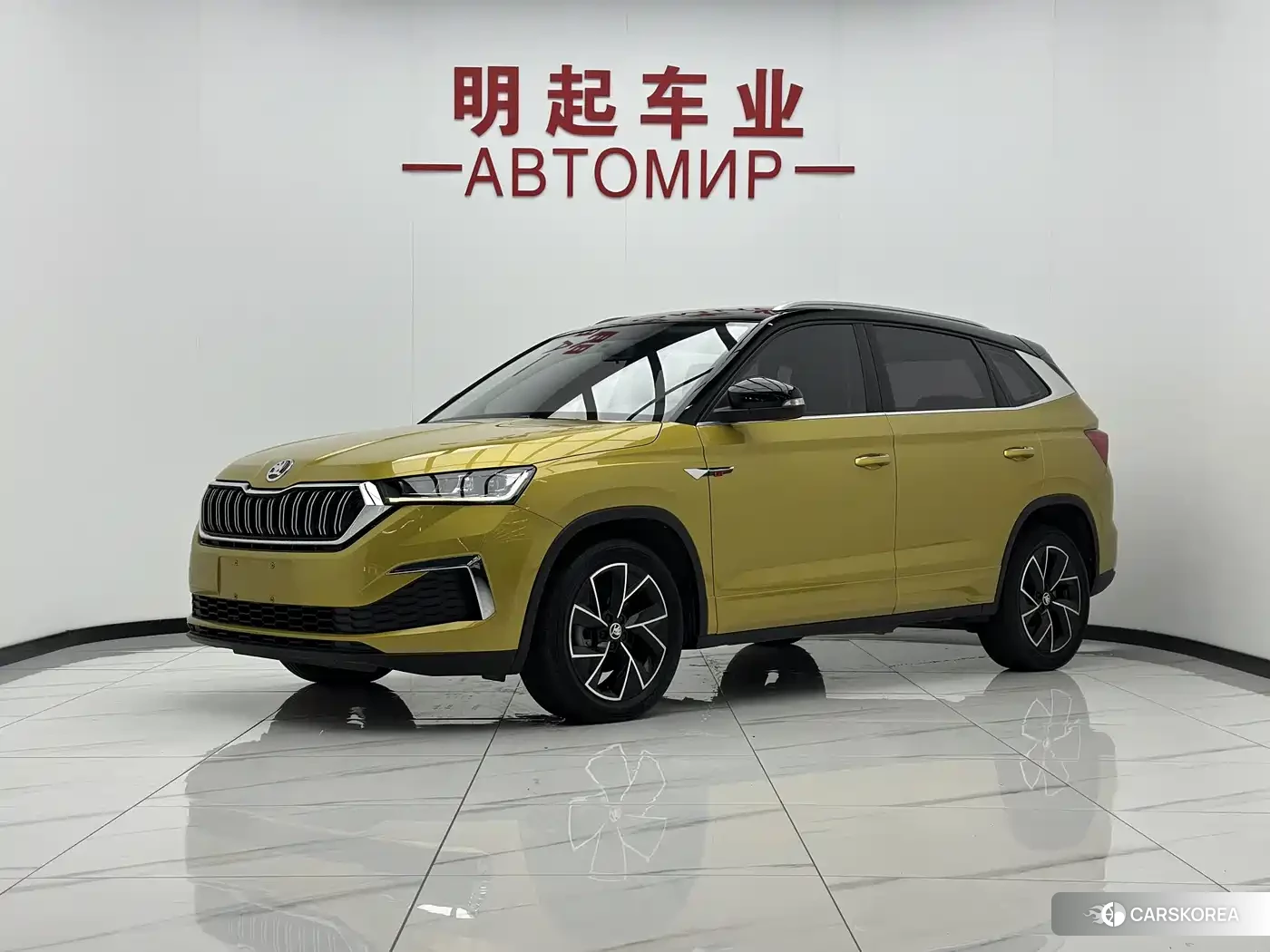 Skoda Kamiq id 4607033 из Китая 15