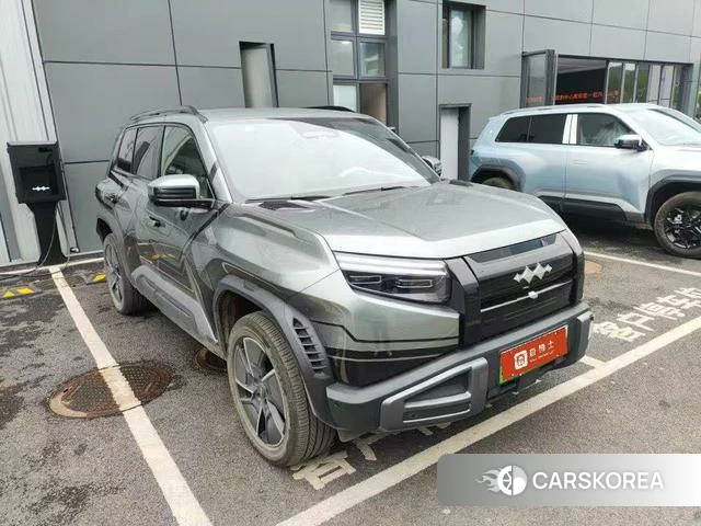 Leopard Titanium 3 2025 Зеленый из Китая, фото 6