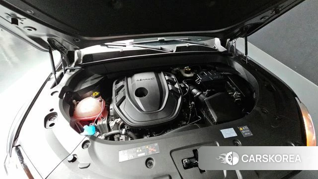 Renault Korea (Samsung) Grand Coleos id 4336595 из Кореи 26