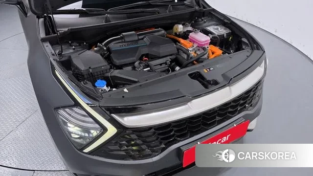Kia Sportage 5th Generation Hybrid id 3022047 из Кореи 16