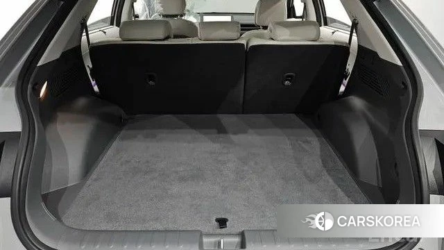 Hyundai Ionic 5 id 4300564 из Кореи 16