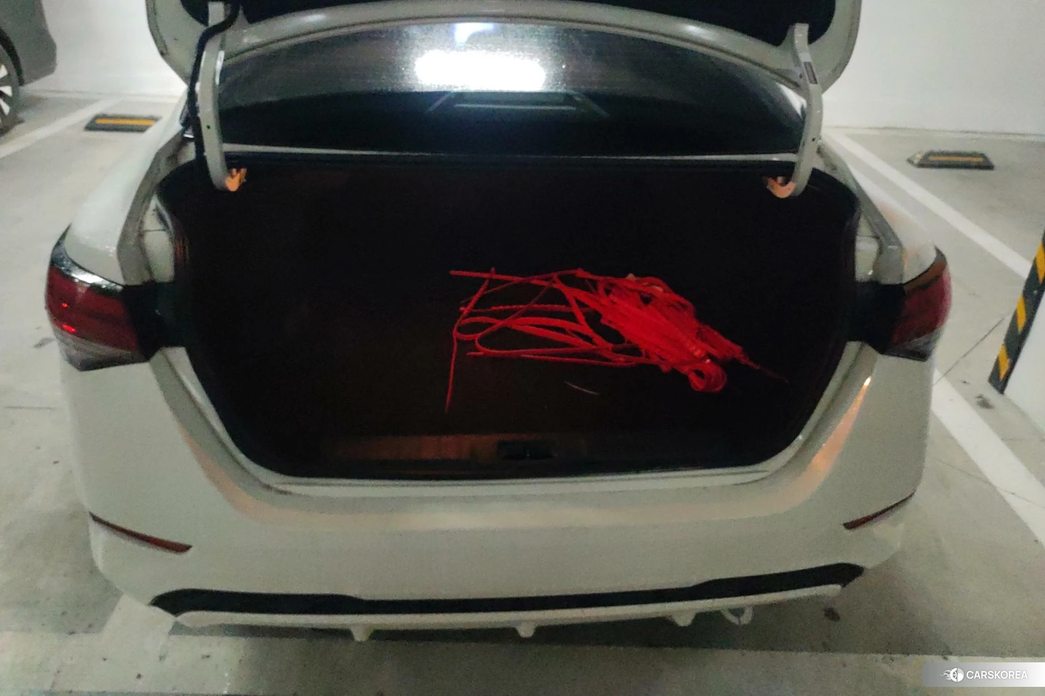 Nissan Xuan Yi id 4512486 из Китая 13