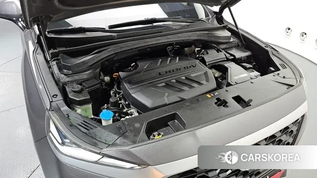 Hyundai Santa Fe TM id 3013741 из Кореи 16