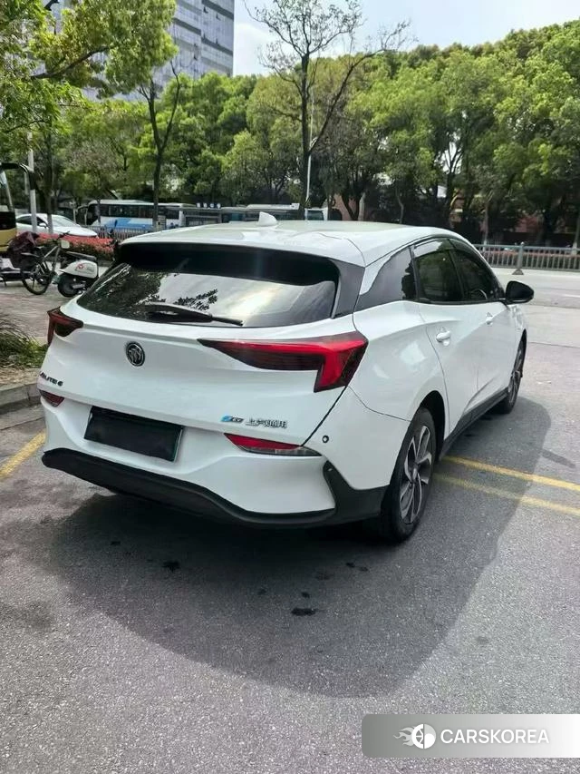 Buick Slightly blue 6 2019 Белый из Китая, фото 6
