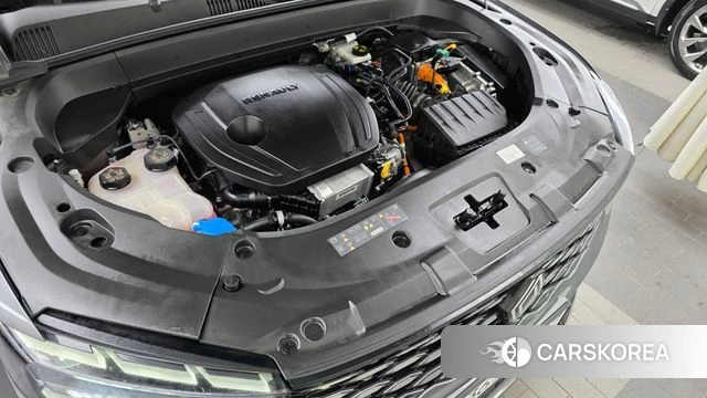 Renault Korea (Samsung) Grand Coleos id 4706187 из Кореи 28