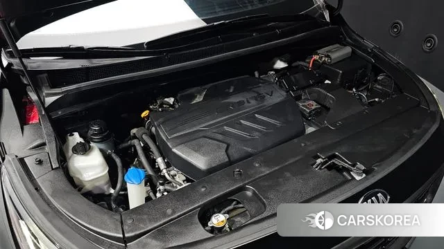 Kia The New Carnival id 2981626 из Кореи 16