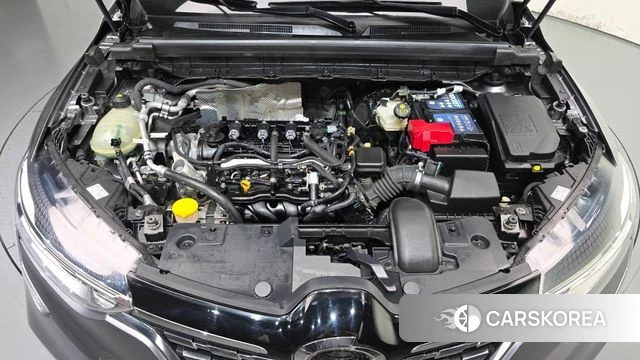 Renault Korea (Samsung) XM3 id 4881994 из Кореи 26