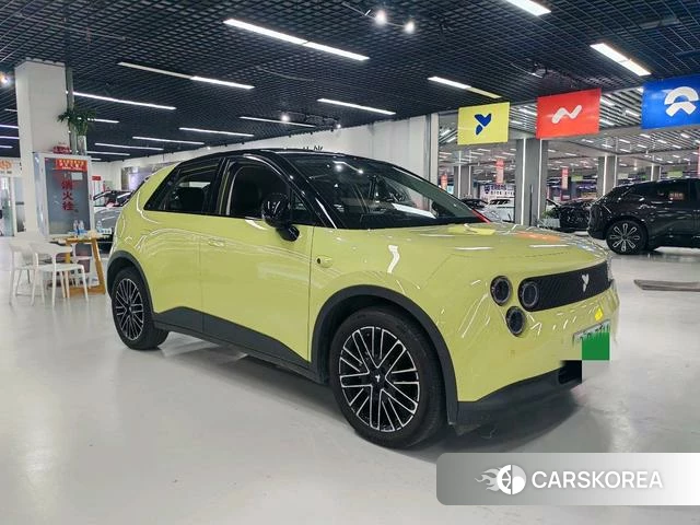 firefly firefly Unknown id 4182561 из Китая 7