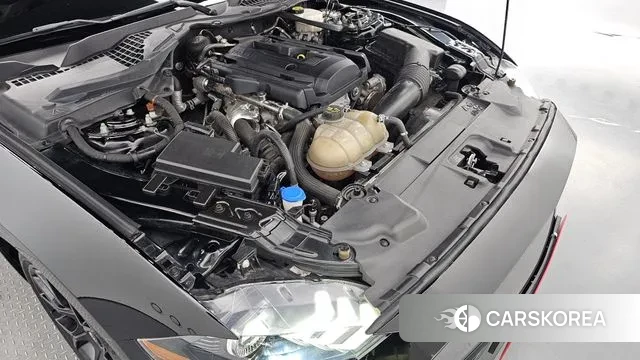 Ford Mustang id 3186635 из Кореи 16