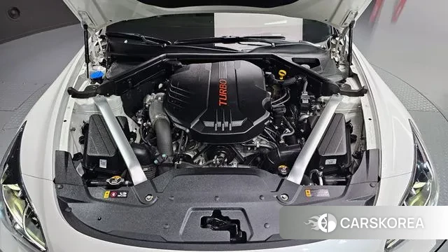 Kia Stinger Meister id 3546179 из Кореи 16