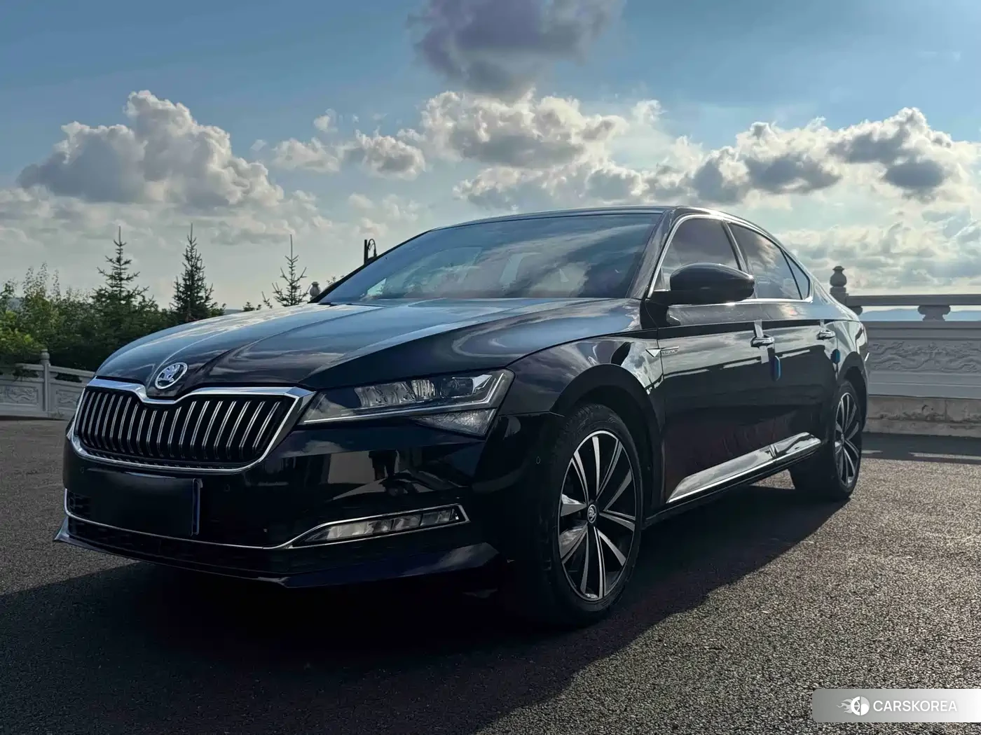 Skoda Superb id 4628221 из Китая 19