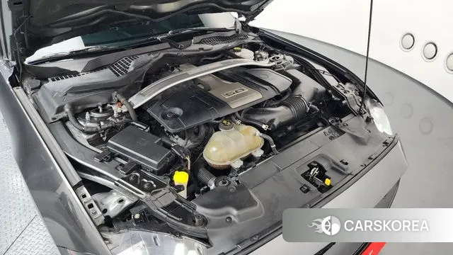 Ford Mustang id 3703456 из Кореи 16