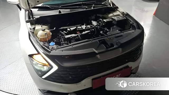 Kia Sportage 5th Generation id 3415502 из Кореи 16