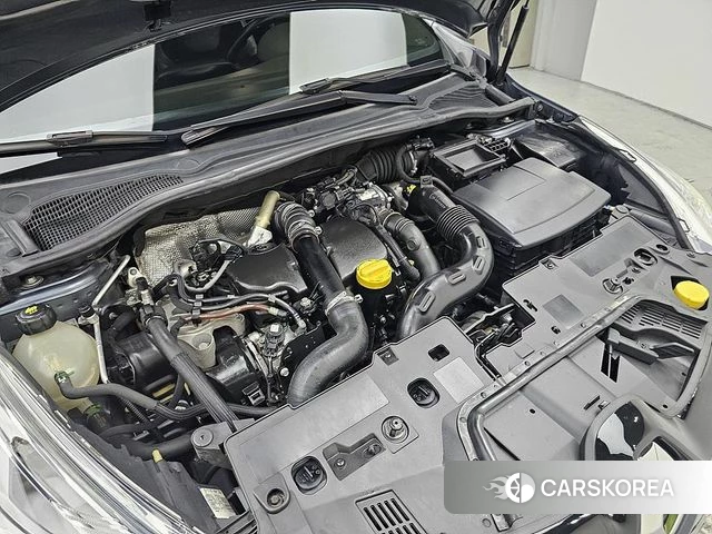 Renault Korea (Samsung) Clio id 4658294 из Кореи 16
