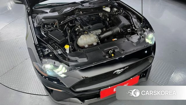 Ford Mustang id 4251305 из Кореи 16