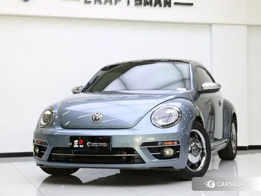 Volkswagen Beetle id 4559661 из Китая 19