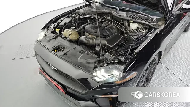 Ford Mustang id 3336293 из Кореи 16