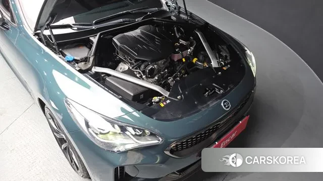 Kia Stinger Meister id 3696809 из Кореи 16