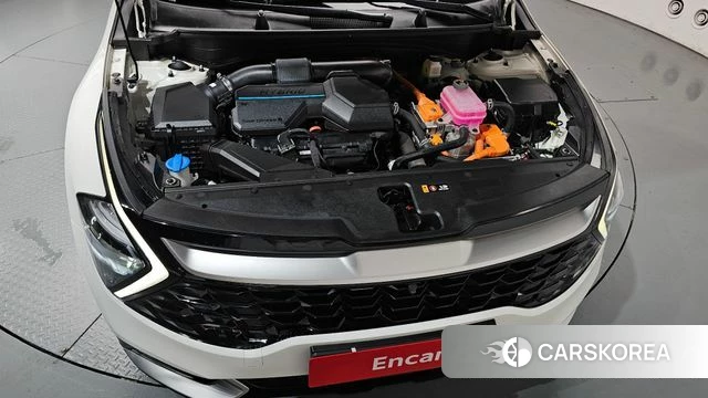 Kia Sportage 5th Generation Hybrid id 4481132 из Кореи 29
