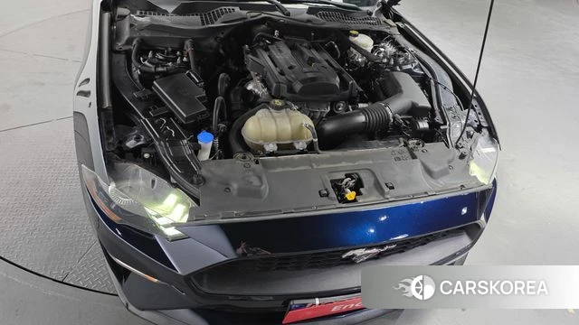 Ford Mustang id 4524934 из Кореи 26