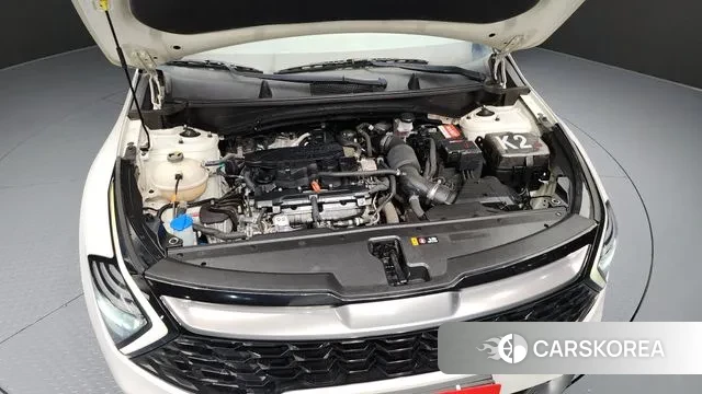 Kia Sportage 5th Generation id 3311902 из Кореи 16