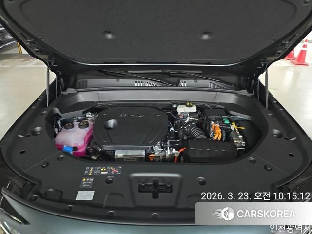 Renault Korea (Samsung) Filant id 3902355 из Кореи 11