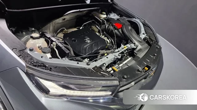 Chevrolet (GM Daewoo) Trailblazer id 3601008 из Кореи 16