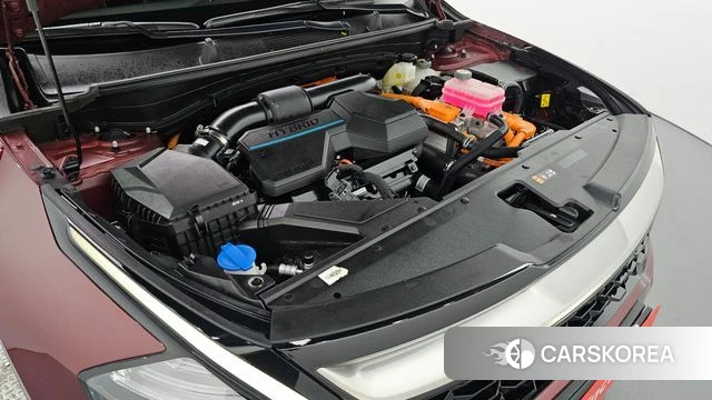 Kia Sportage 5th Generation Hybrid id 4854767 из Кореи 16