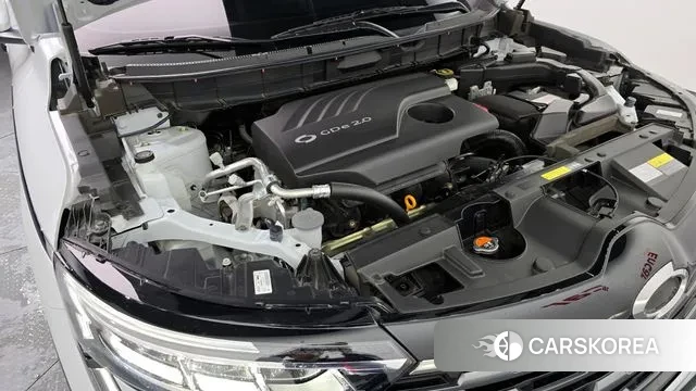 Renault Korea (Samsung) The New QM6 id 3415924 из Кореи 16