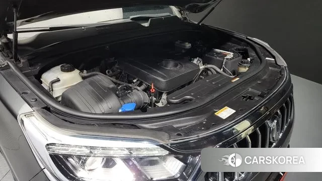 Ssangyong Rexton Sports Cannes id 3193280 из Кореи 16