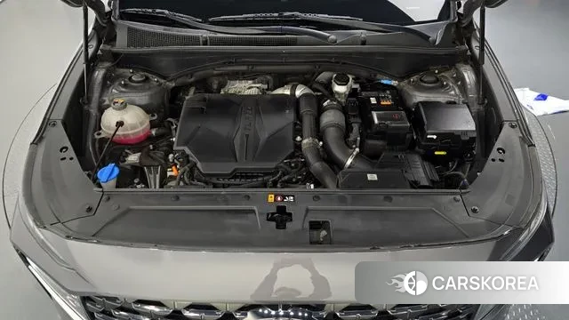 Hyundai The New Santa Fe id 3028292 из Кореи 16