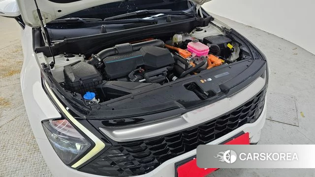 Kia Sportage 5th Generation Hybrid id 3892284 из Кореи 16