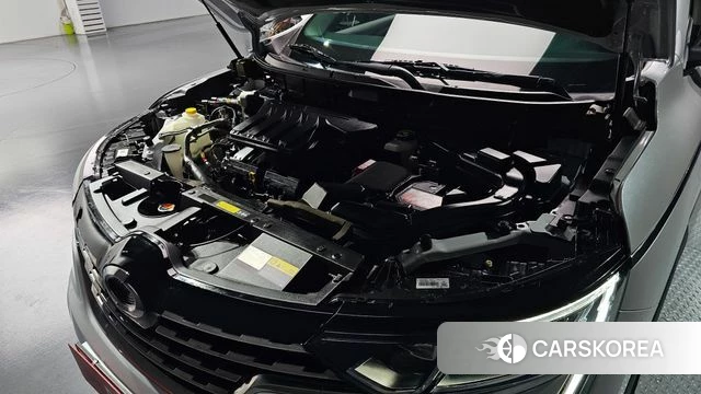 Renault Korea (Samsung) The New QM6 id 3899359 из Кореи 16