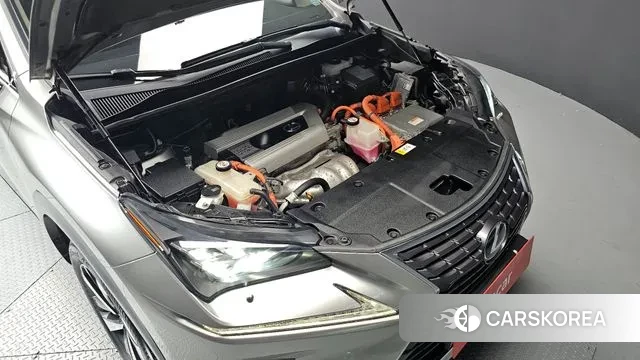 Lexus NX300h id 3494822 из Кореи 16