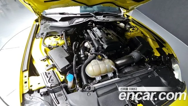 Ford Mustang id 2921629 из Кореи 16