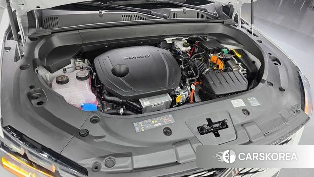 Renault Korea (Samsung) Grand Coleos id 4539544 из Кореи 28