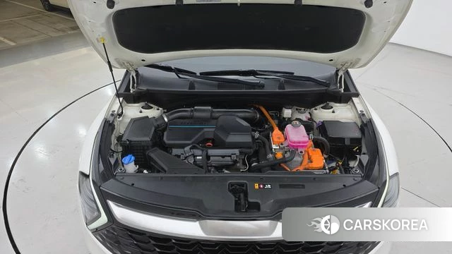 Kia Sportage 5th Generation Hybrid id 4651157 из Кореи 16
