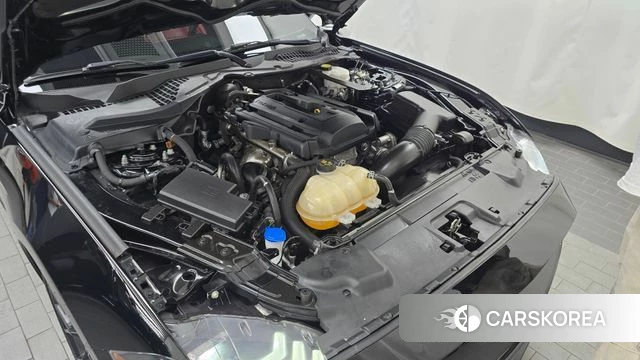 Ford Mustang id 4529384 из Кореи 30