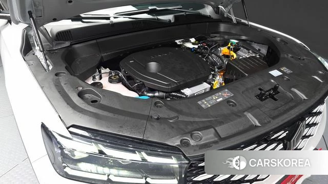 Renault Korea (Samsung) Grand Coleos id 4388020 из Кореи 28